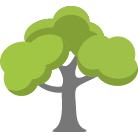 Lilburn Tree Removal