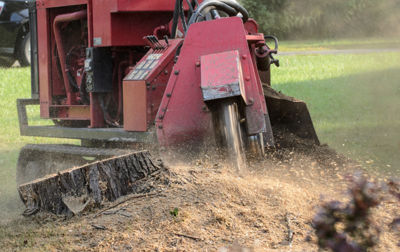 Stump Grinding Tools